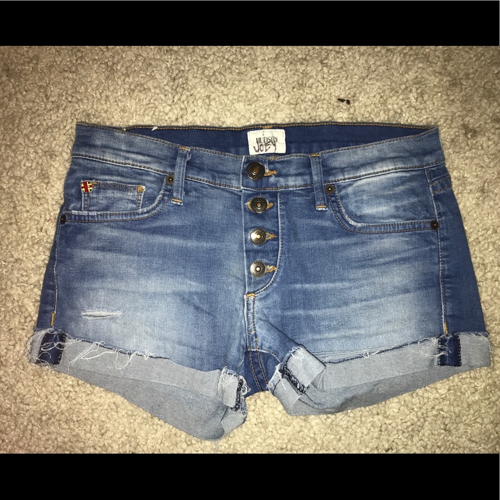 Hudson shorts (venice)
